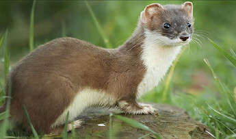 CleanShot 2026-02-11 at 12.12.47@2x