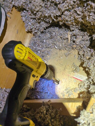 IMG_20251006_114102_728